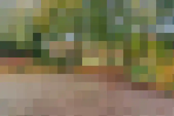 Wighenerhorst 49 Wijchen thumbnail 17