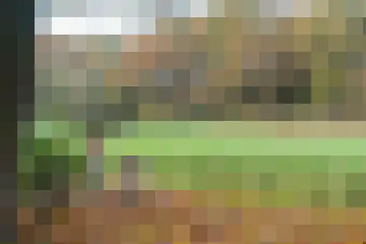 Wighenerhorst 49 Wijchen thumbnail 18