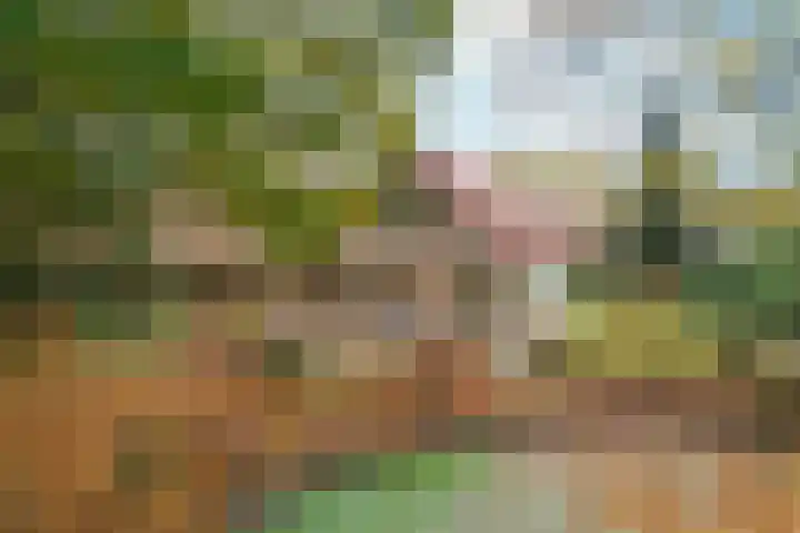 Wighenerhorst 49 Wijchen thumbnail 19