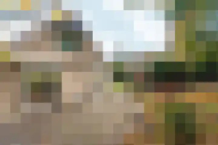 Wighenerhorst 49 Wijchen thumbnail 20