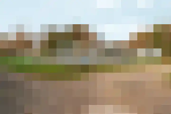 Wighenerhorst 49 Wijchen thumbnail 24