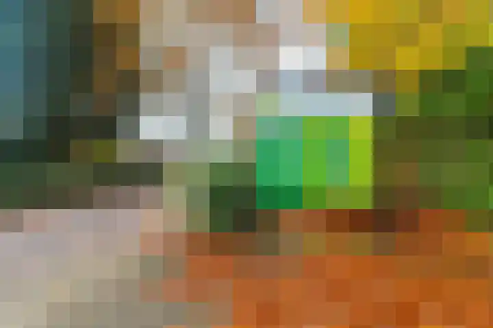 Wighenerhorst 49 Wijchen thumbnail 25