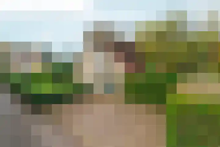 Wighenerhorst 49 Wijchen thumbnail 4