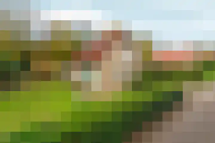 Wighenerhorst 49 Wijchen thumbnail 5