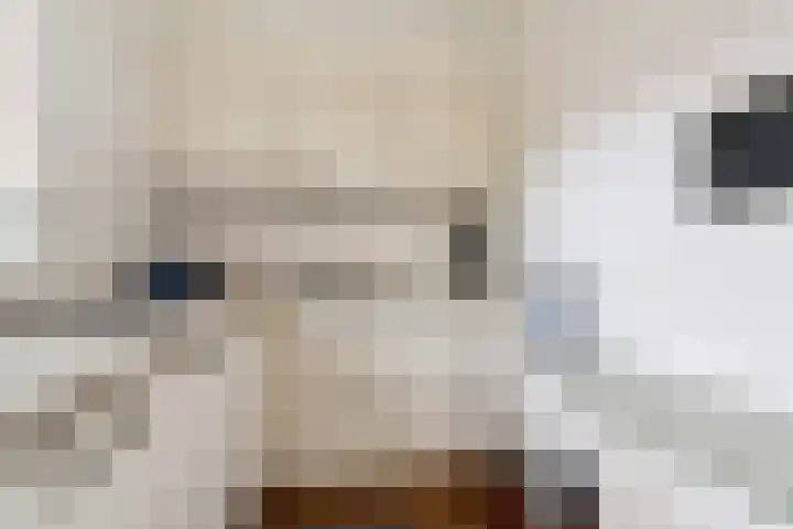 Wighenerhorst 49 Wijchen thumbnail 8