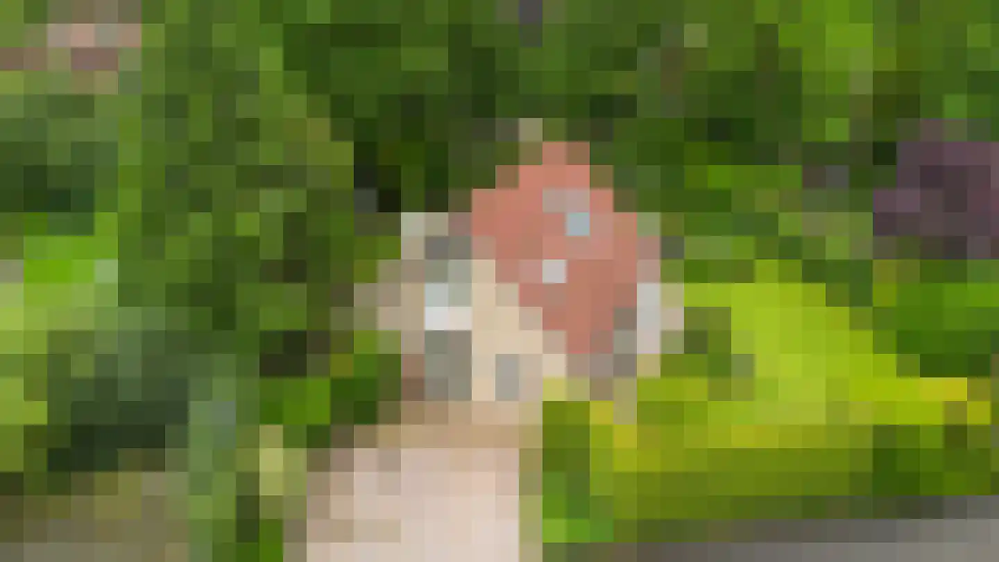 Wighenerhorst 69 Wijchen