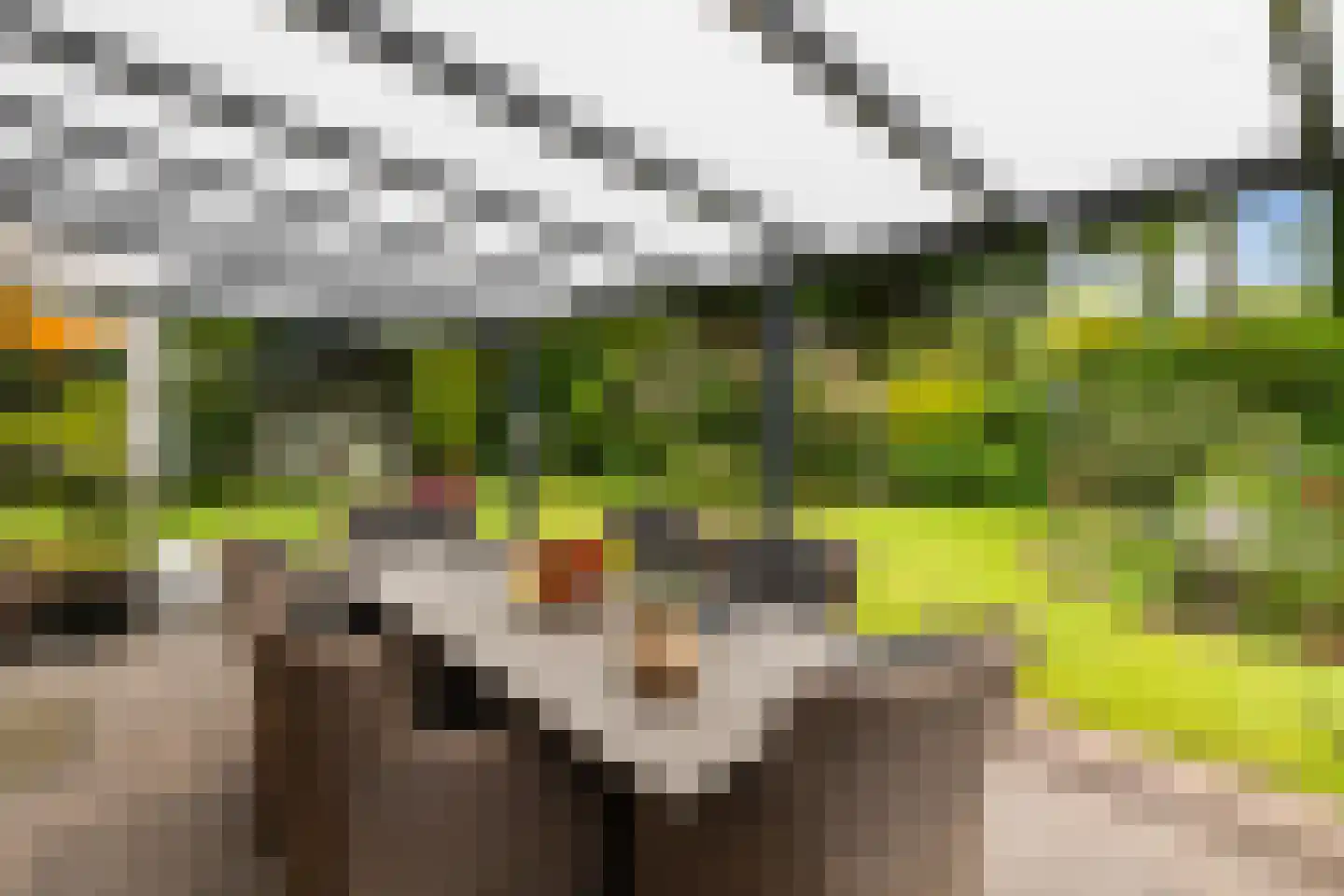 Wighenerhorst 69 Wijchen thumbnail 21