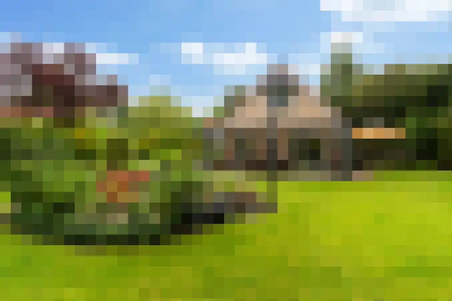 Wighenerhorst 69 Wijchen thumbnail 25