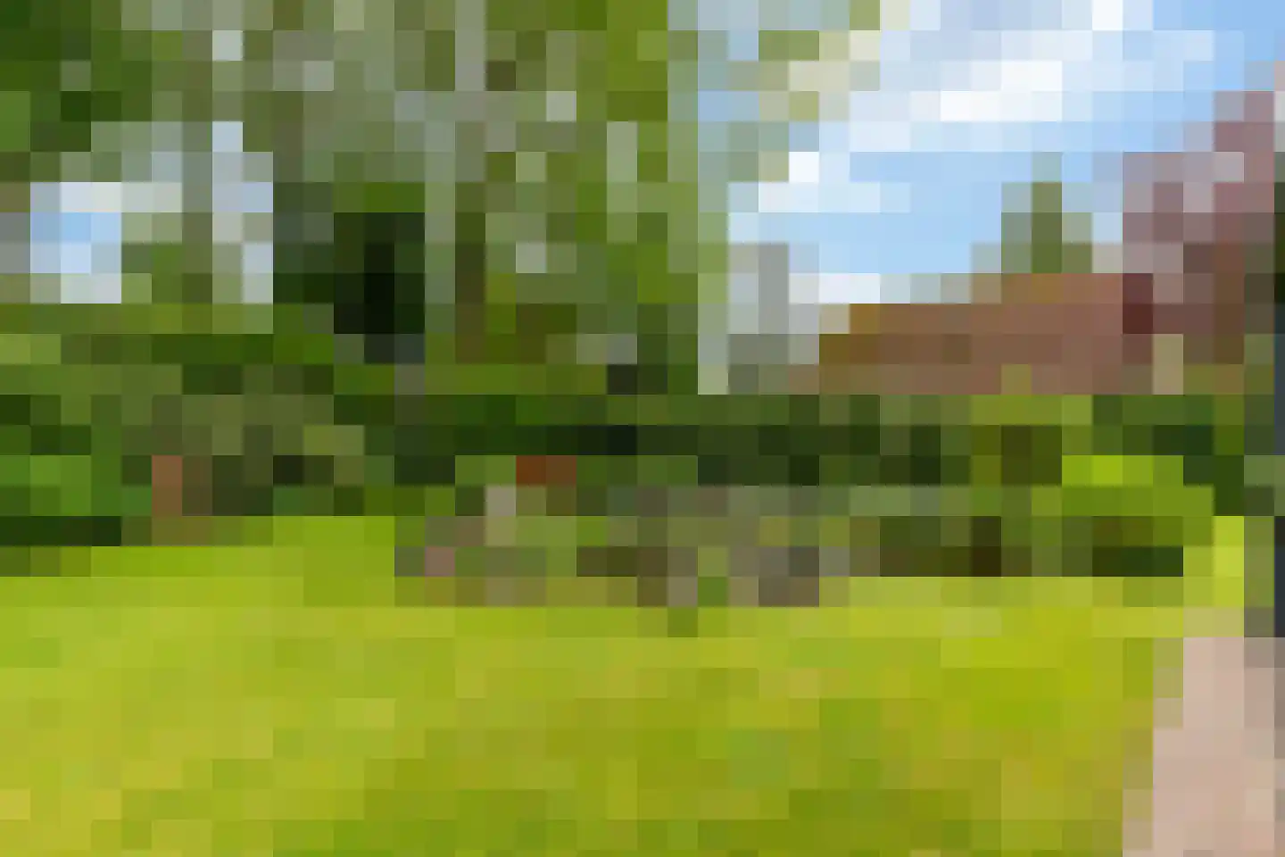 Wighenerhorst 69 Wijchen thumbnail 26