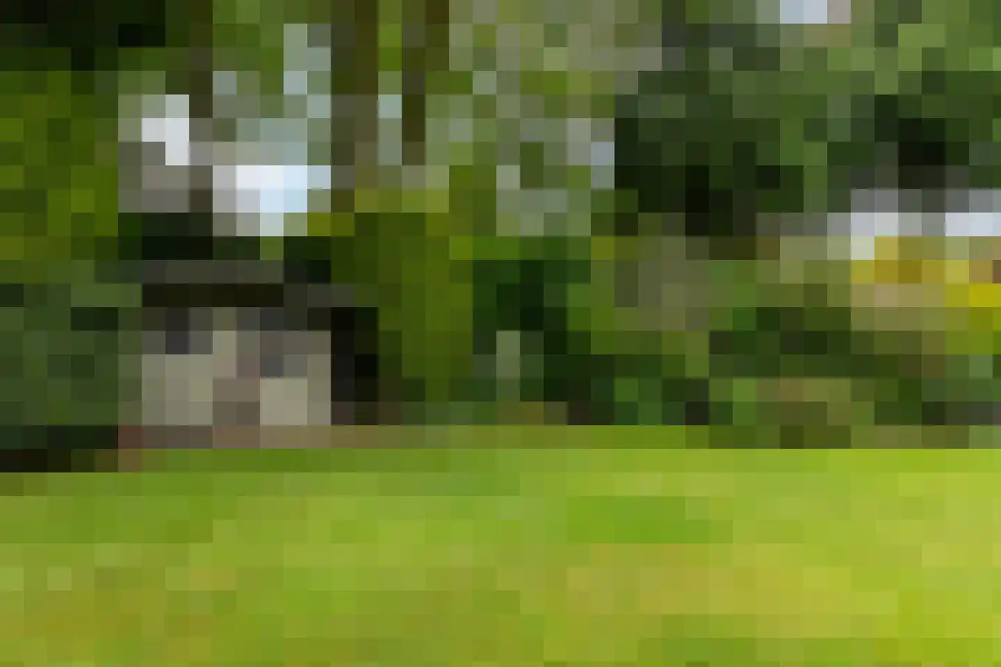 Wighenerhorst 69 Wijchen thumbnail 27