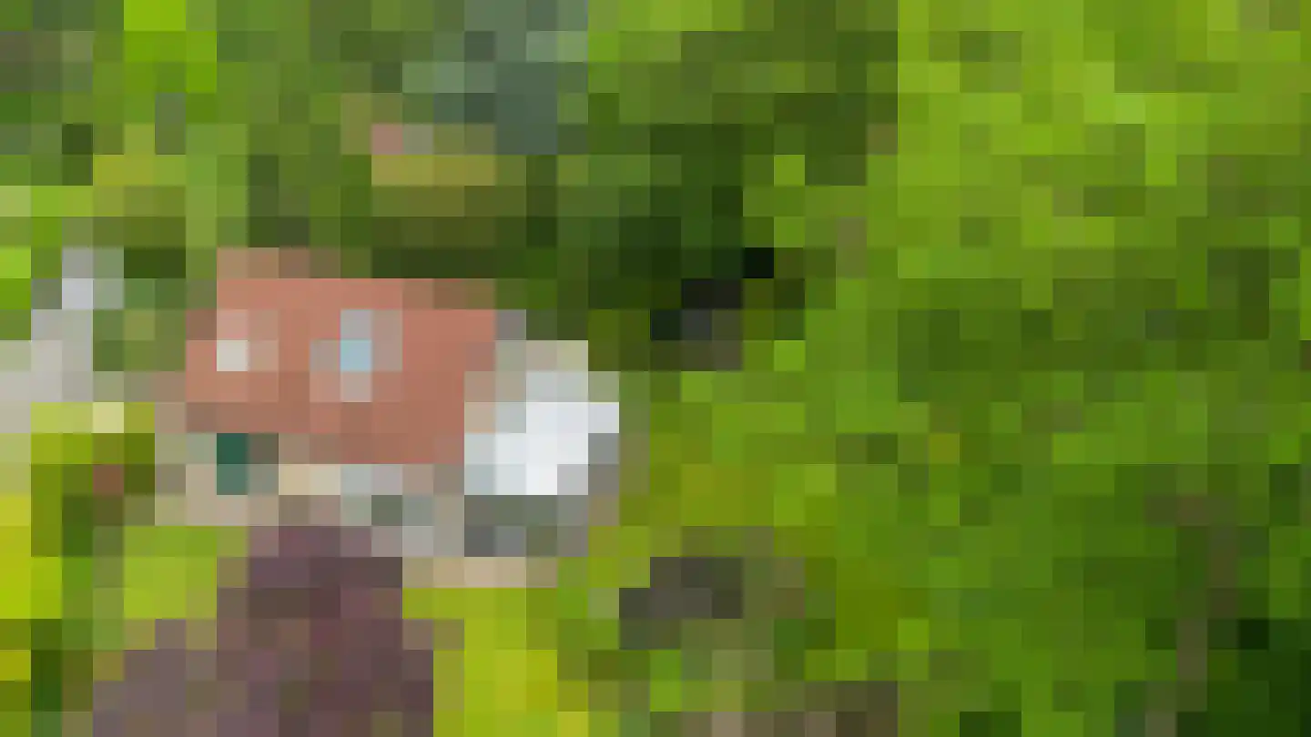 Wighenerhorst 69 Wijchen thumbnail 29
