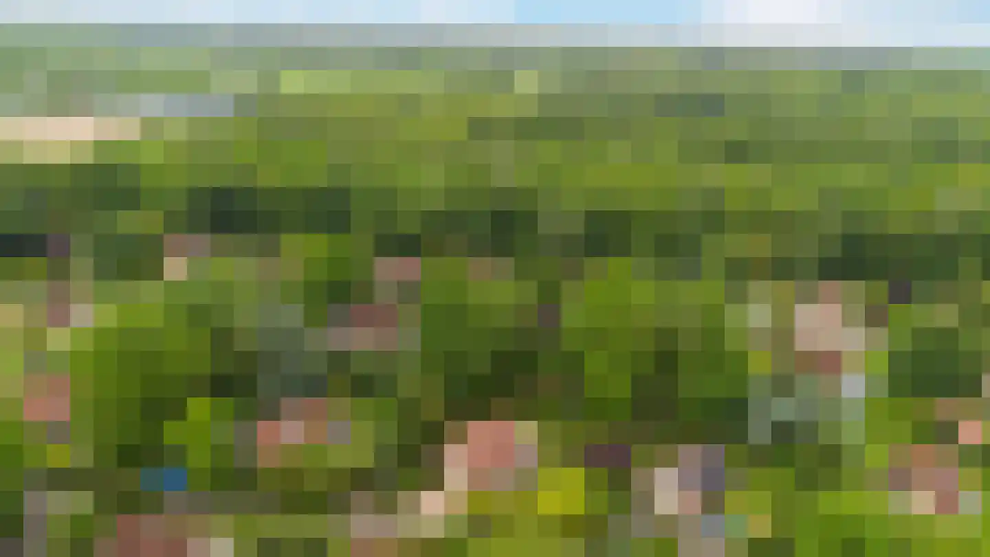 Wighenerhorst 69 Wijchen thumbnail 30