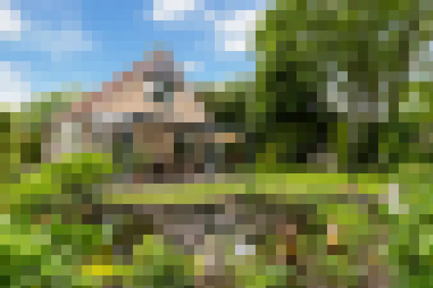 Wighenerhorst 69 Wijchen thumbnail 4