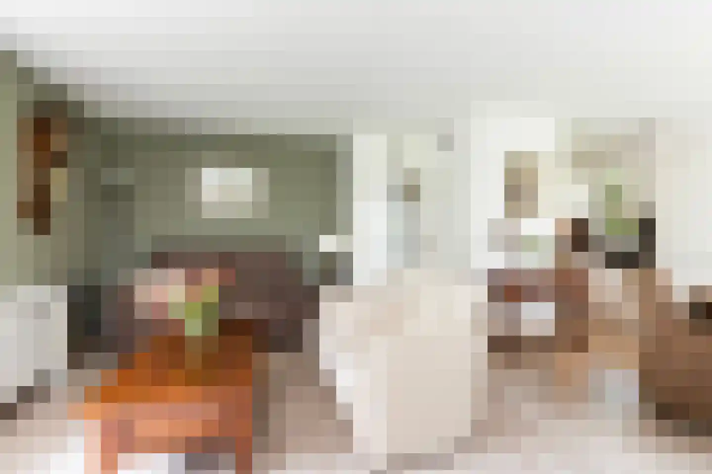Wighenerhorst 69 Wijchen thumbnail 9