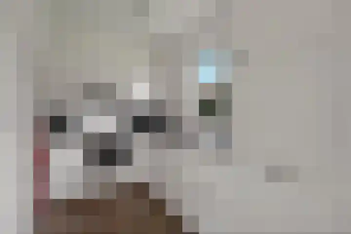 Wighenerhorst 73 Wijchen thumbnail 10