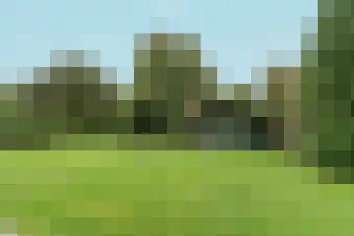 Wighenerhorst 73 Wijchen thumbnail 19