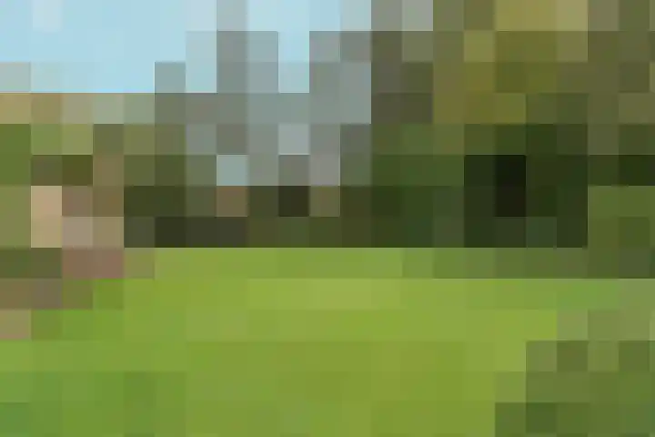 Wighenerhorst 73 Wijchen thumbnail 22