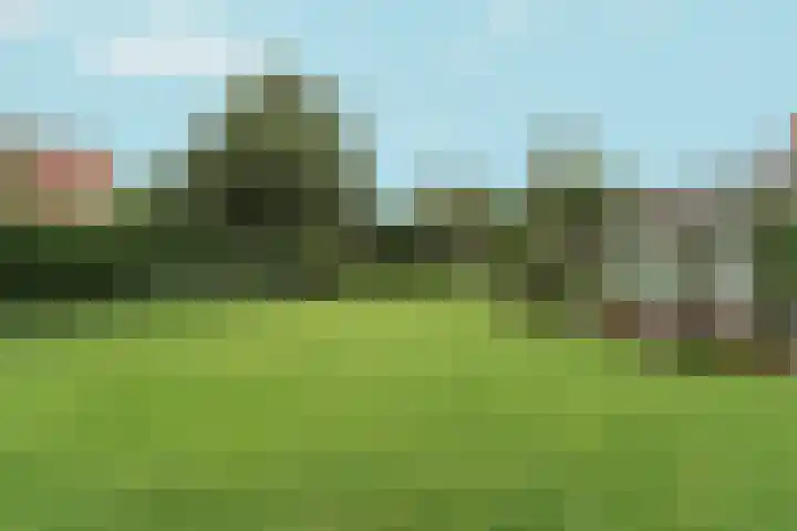 Wighenerhorst 73 Wijchen thumbnail 24
