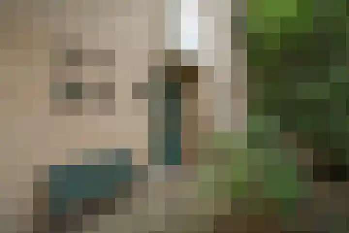 Wighenerhorst 73 Wijchen thumbnail 4