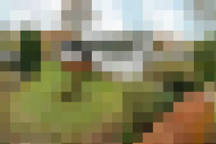 Wighenerhorst 96 Wijchen