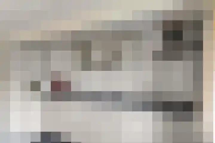 Wighenerhorst 96 Wijchen thumbnail 10