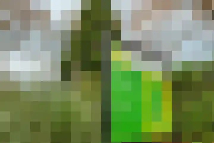 Wighenerhorst 96 Wijchen thumbnail 21