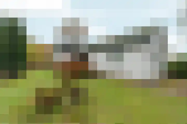 Wighenerhorst 96 Wijchen thumbnail 7