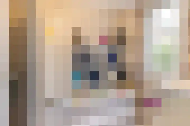 Wigle Camstrastrjitte 10 Marsum thumbnail 29