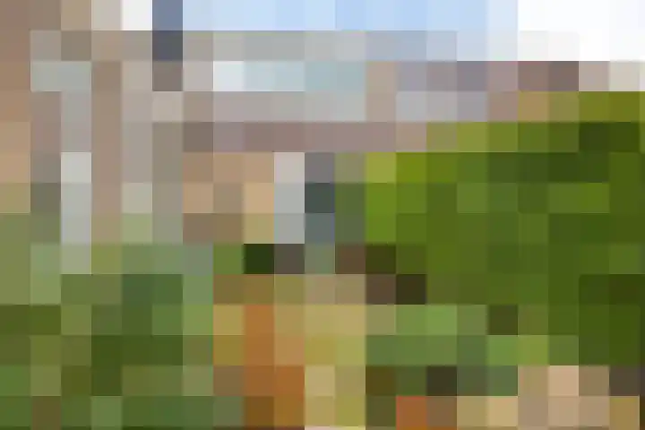 Wigle Camstrastrjitte 10 Marsum thumbnail 40