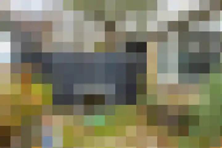 Wigle Camstrastrjitte 10 Marsum thumbnail 41