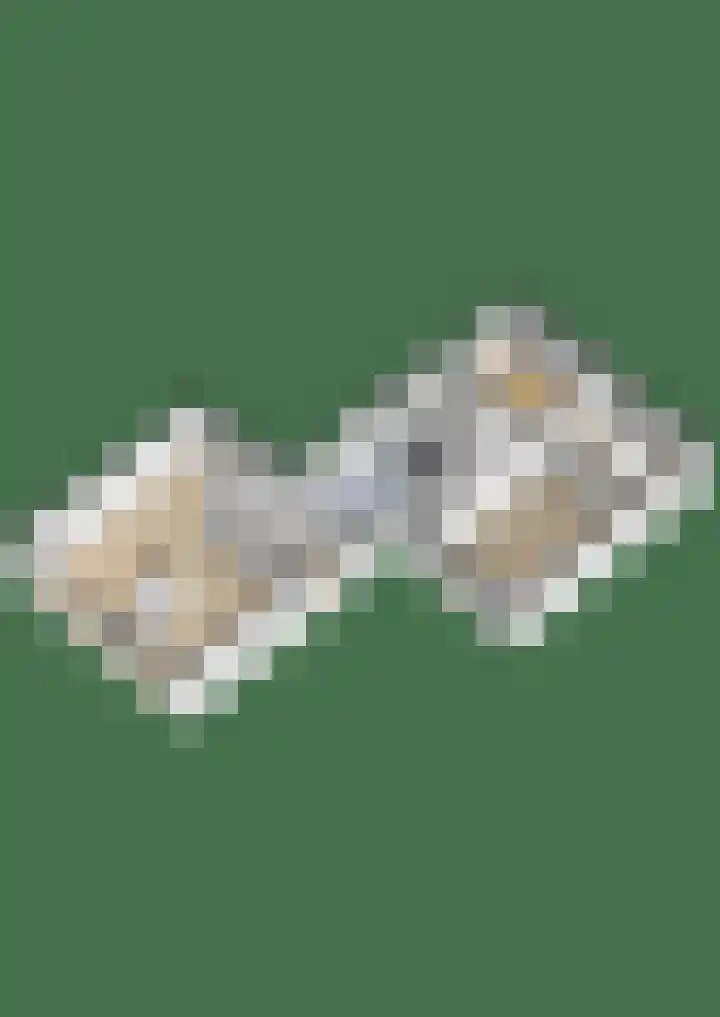 Wigle Camstrastrjitte 10 Marsum thumbnail 45