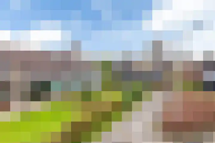 Wigle Camstrastrjitte 10 Marsum thumbnail 5