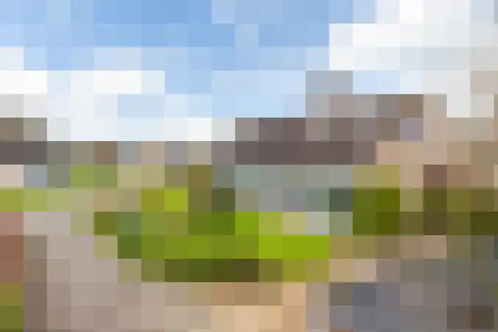 Wigle Camstrastrjitte 10 Marsum thumbnail 8