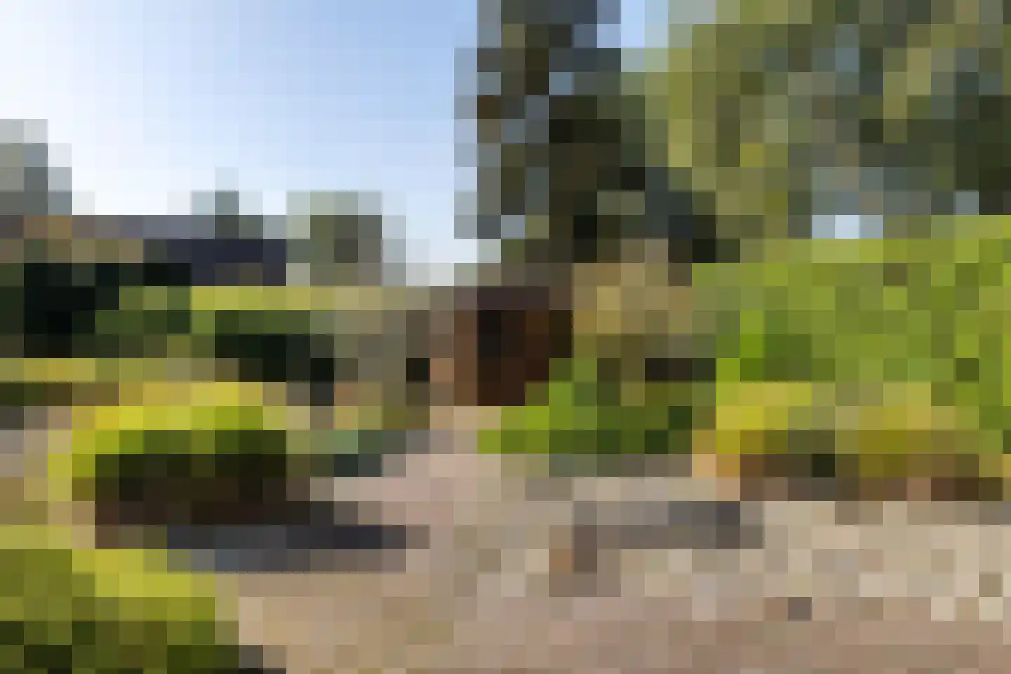 Wiidswâl 23 Oudehaske thumbnail 10