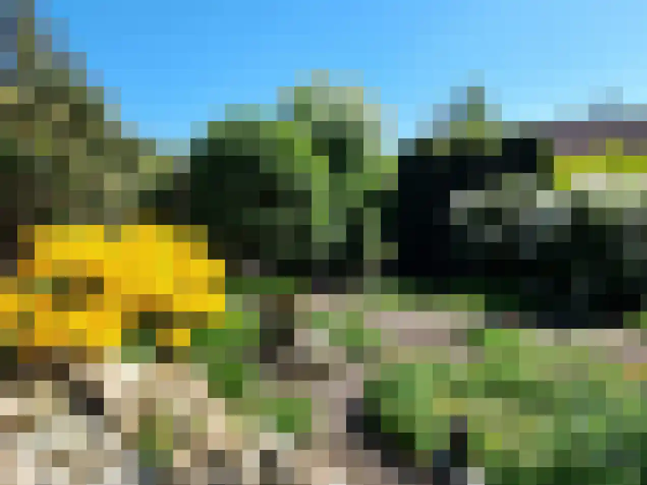 Wiidswâl 23 Oudehaske thumbnail 12
