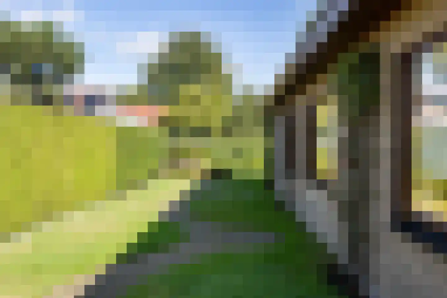 Wiidswâl 23 Oudehaske thumbnail 13