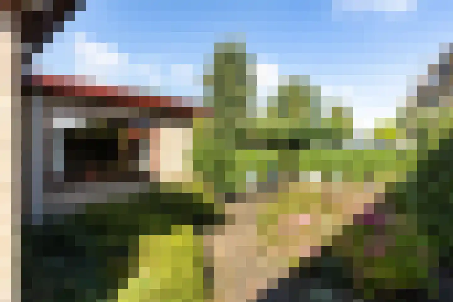 Wiidswâl 23 Oudehaske thumbnail 14