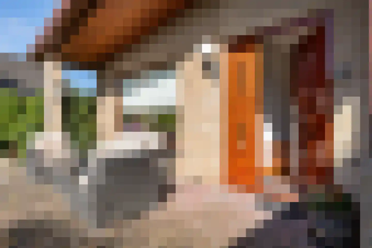 Wiidswâl 23 Oudehaske thumbnail 16