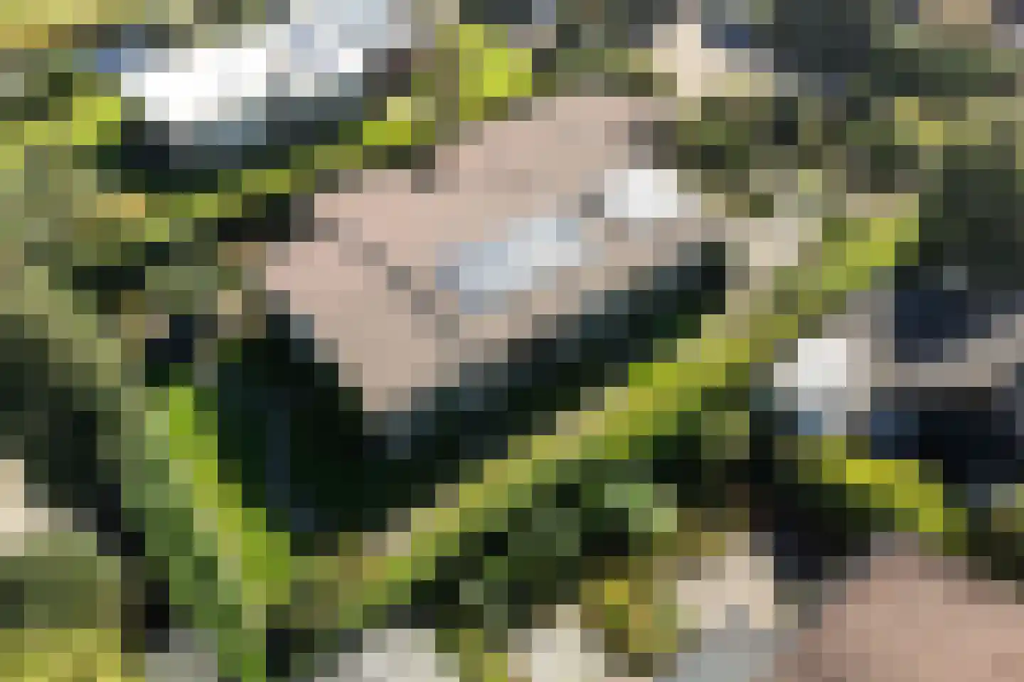 Wiidswâl 23 Oudehaske thumbnail 5