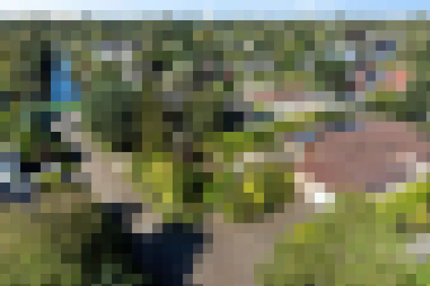 Wiidswâl 23 Oudehaske thumbnail 50