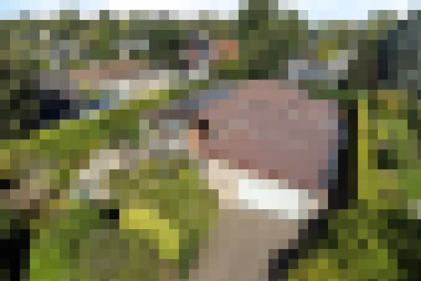 Wiidswâl 23 Oudehaske thumbnail 51