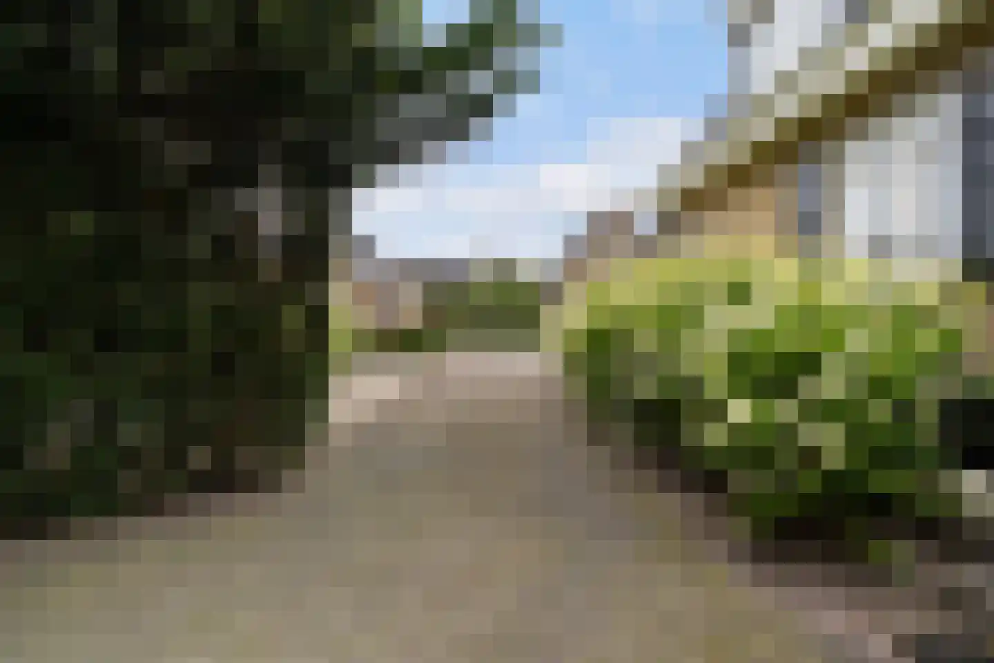 Wiidswei 1 Earnewâld thumbnail 13