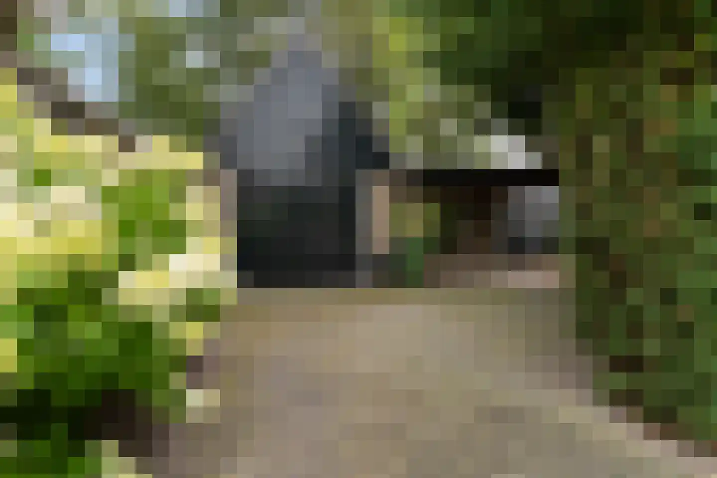 Wiidswei 1 Earnewâld thumbnail 14