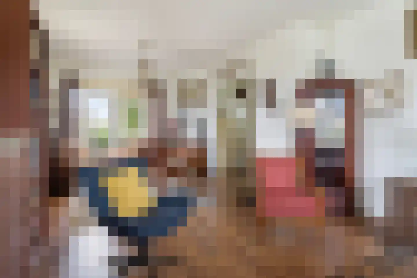 Wiidswei 1 Earnewâld thumbnail 24