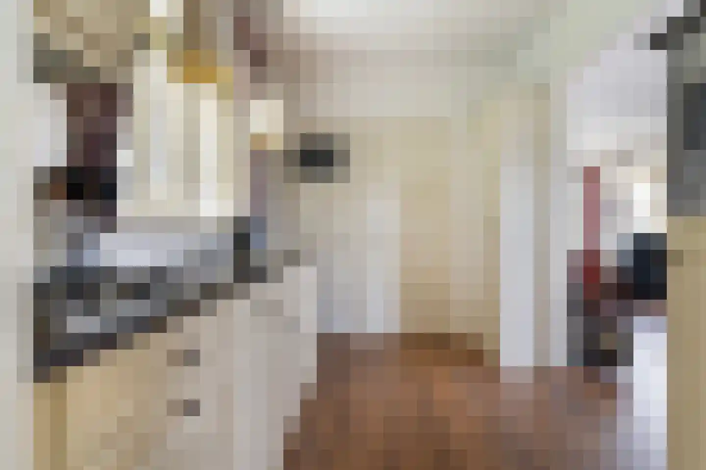Wiidswei 1 Earnewâld thumbnail 25
