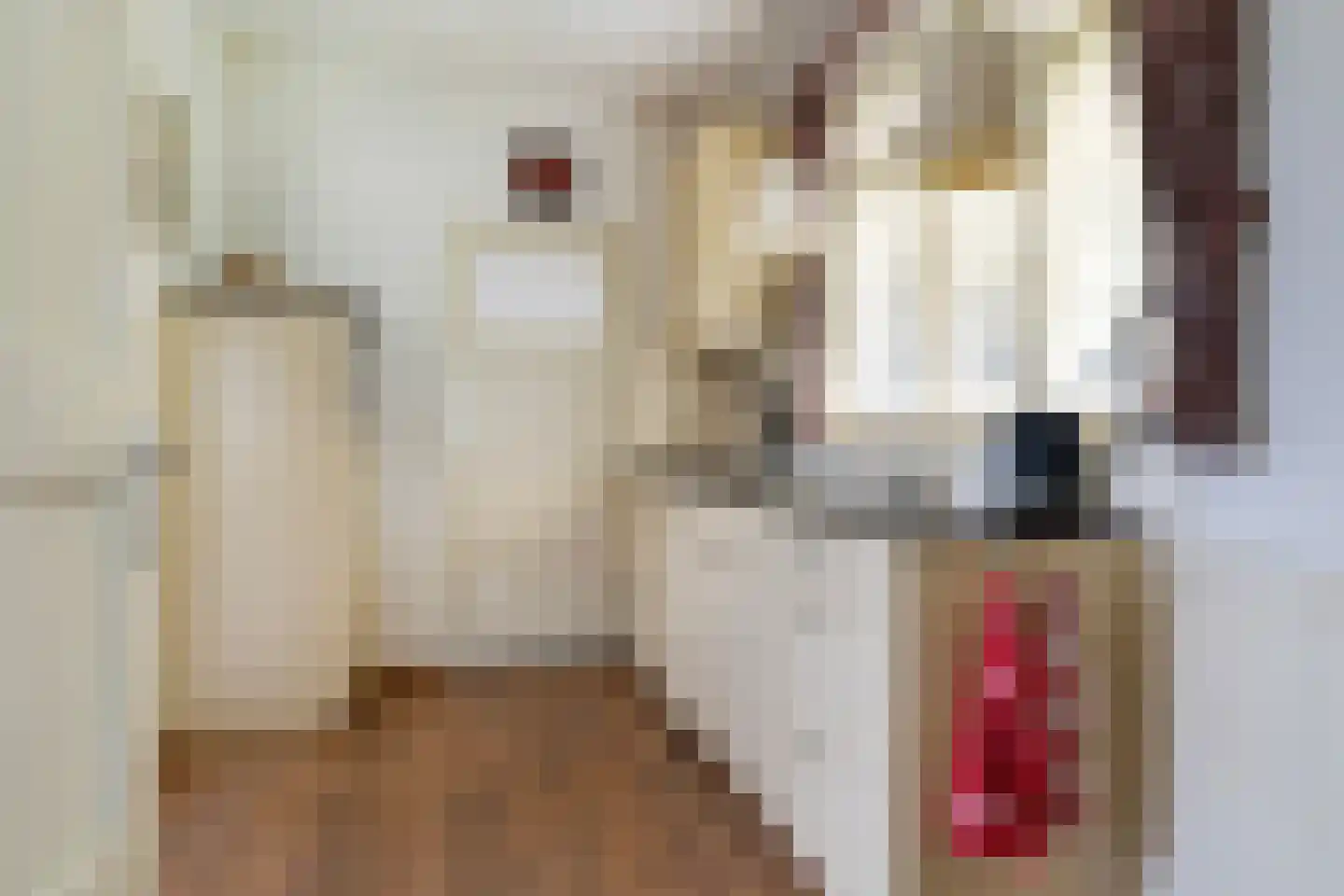 Wiidswei 1 Earnewâld foto 3
