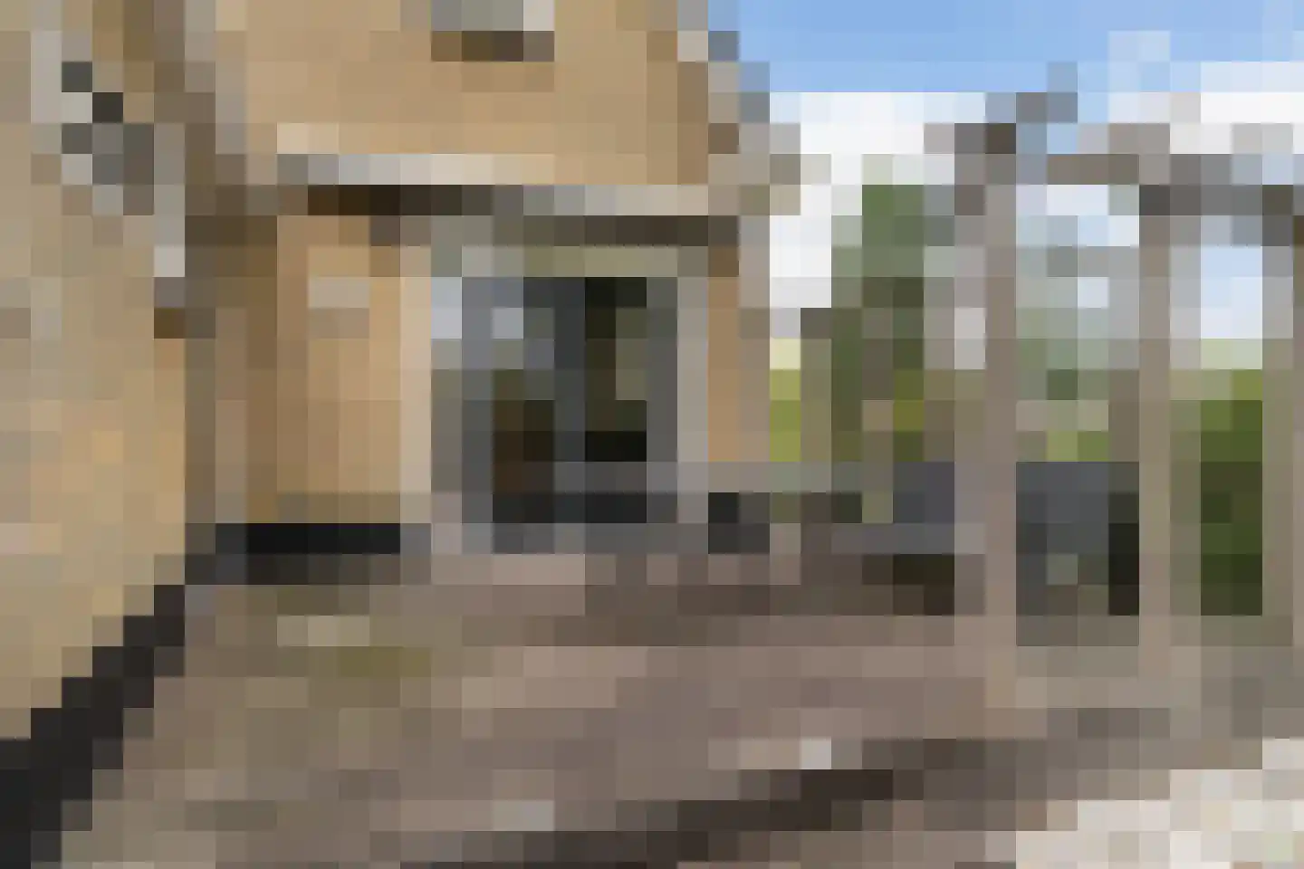 Wiidswei 1 Earnewâld thumbnail 30