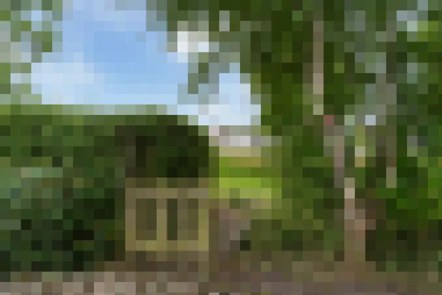 Wiidswei 1 Earnewâld thumbnail 35