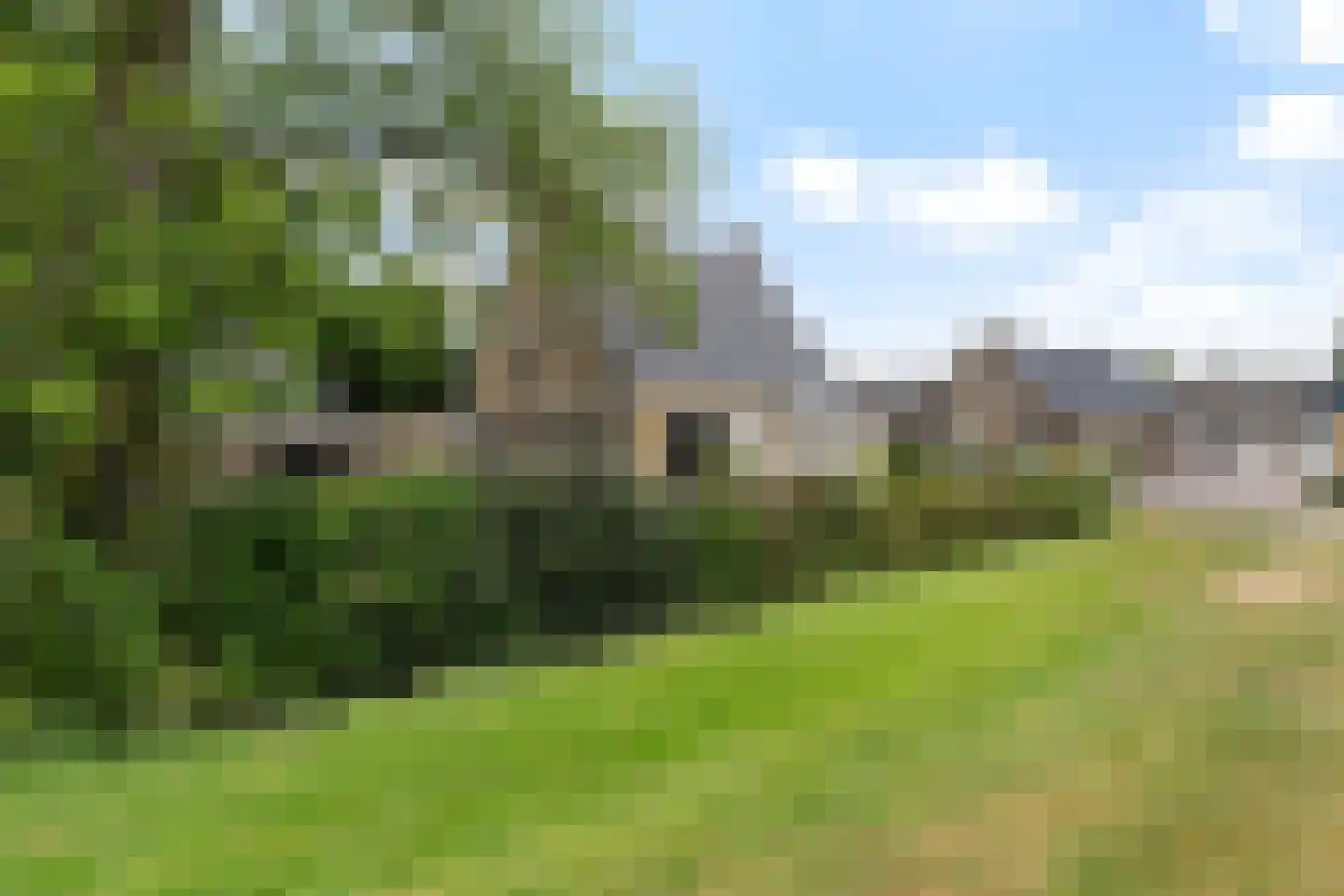 Wiidswei 1 Earnewâld thumbnail 36