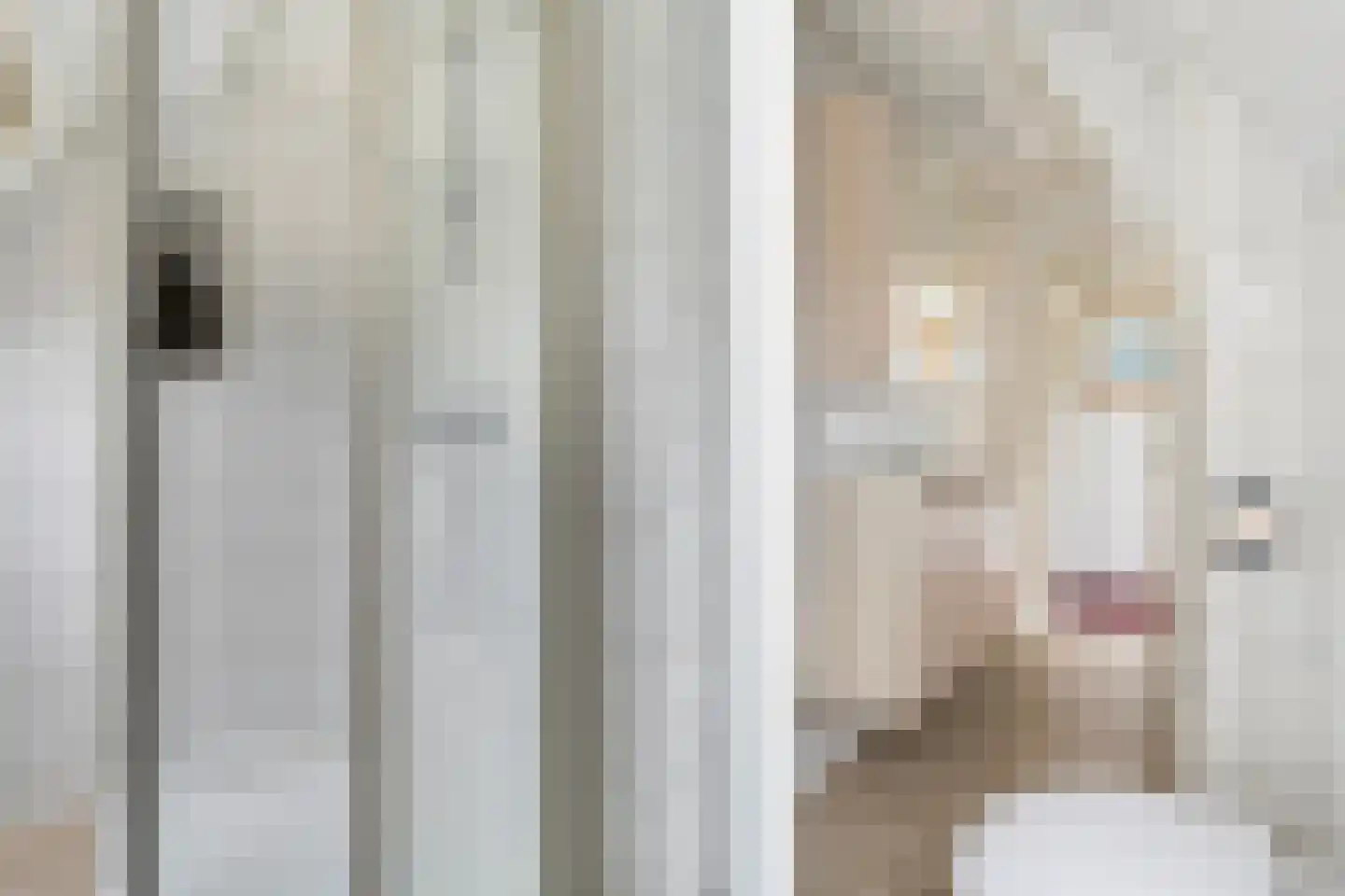 Wiidswei 1 Earnewâld thumbnail 46